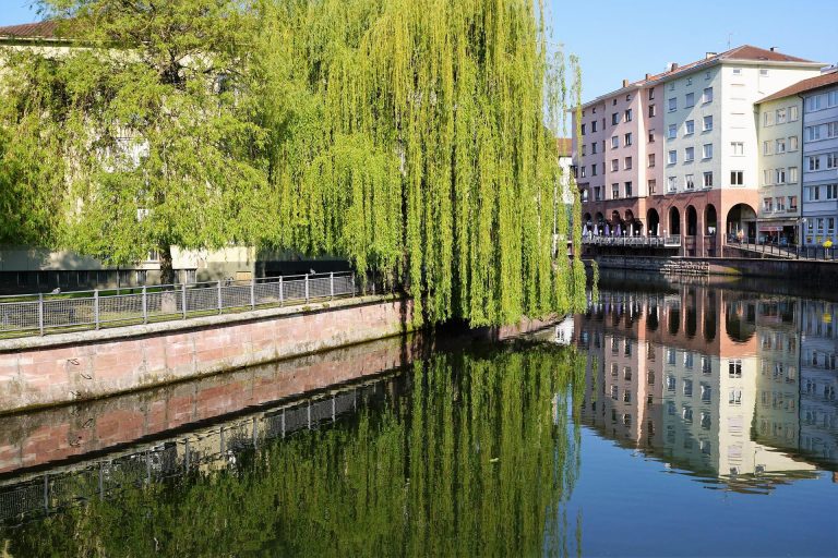 Häuser am Flussufer in Pforzheim